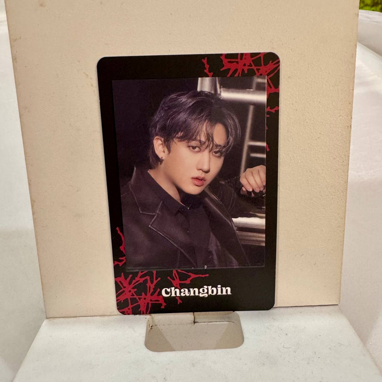 Stray Kids - Photocards/ 『Stray Kids World Tour ＜dominATE JAPAN＞』