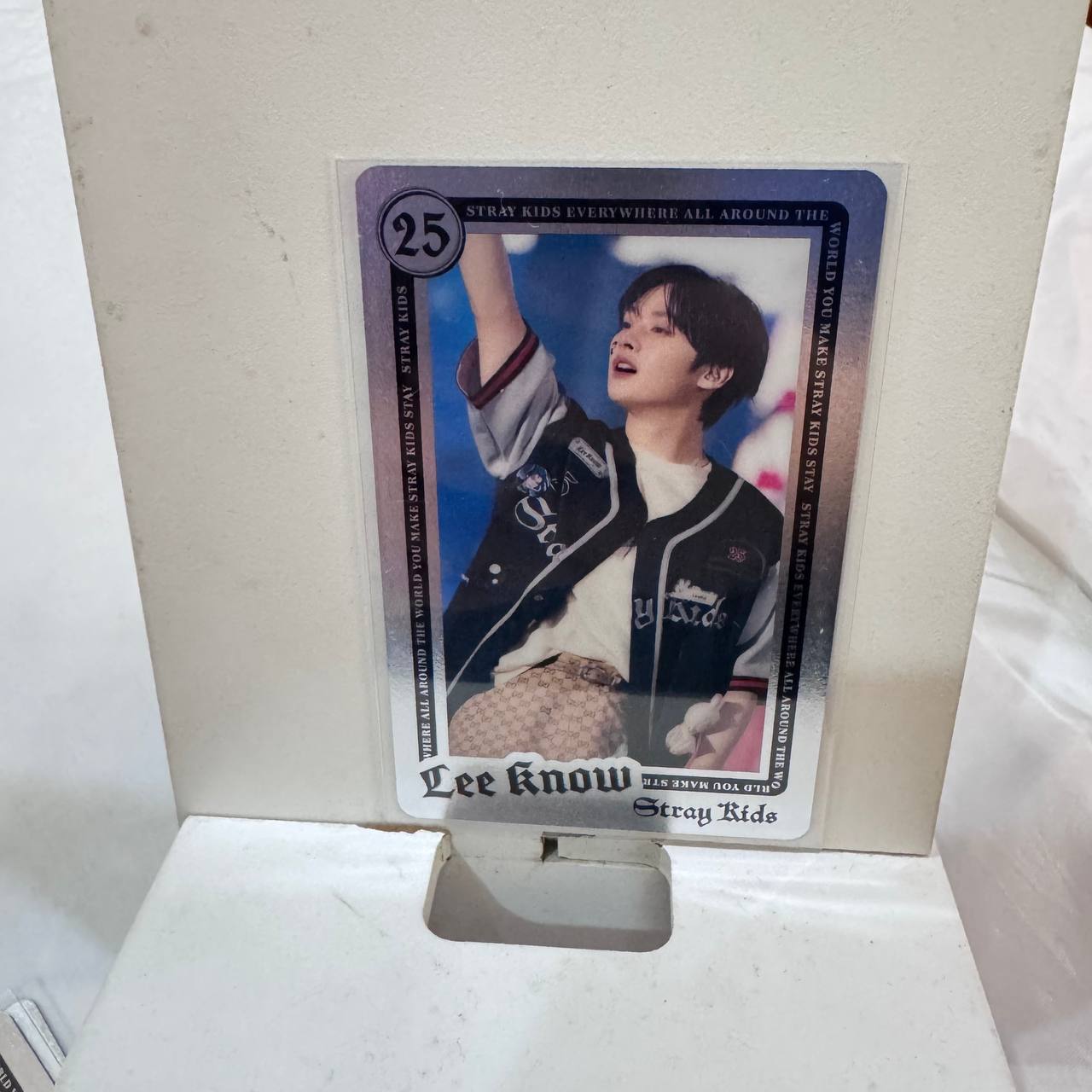Stray Kids - RANDOM LIVE PHOTO CARD / Stray Kids『Stray Kids World Tour <dominATE JAPAN>』