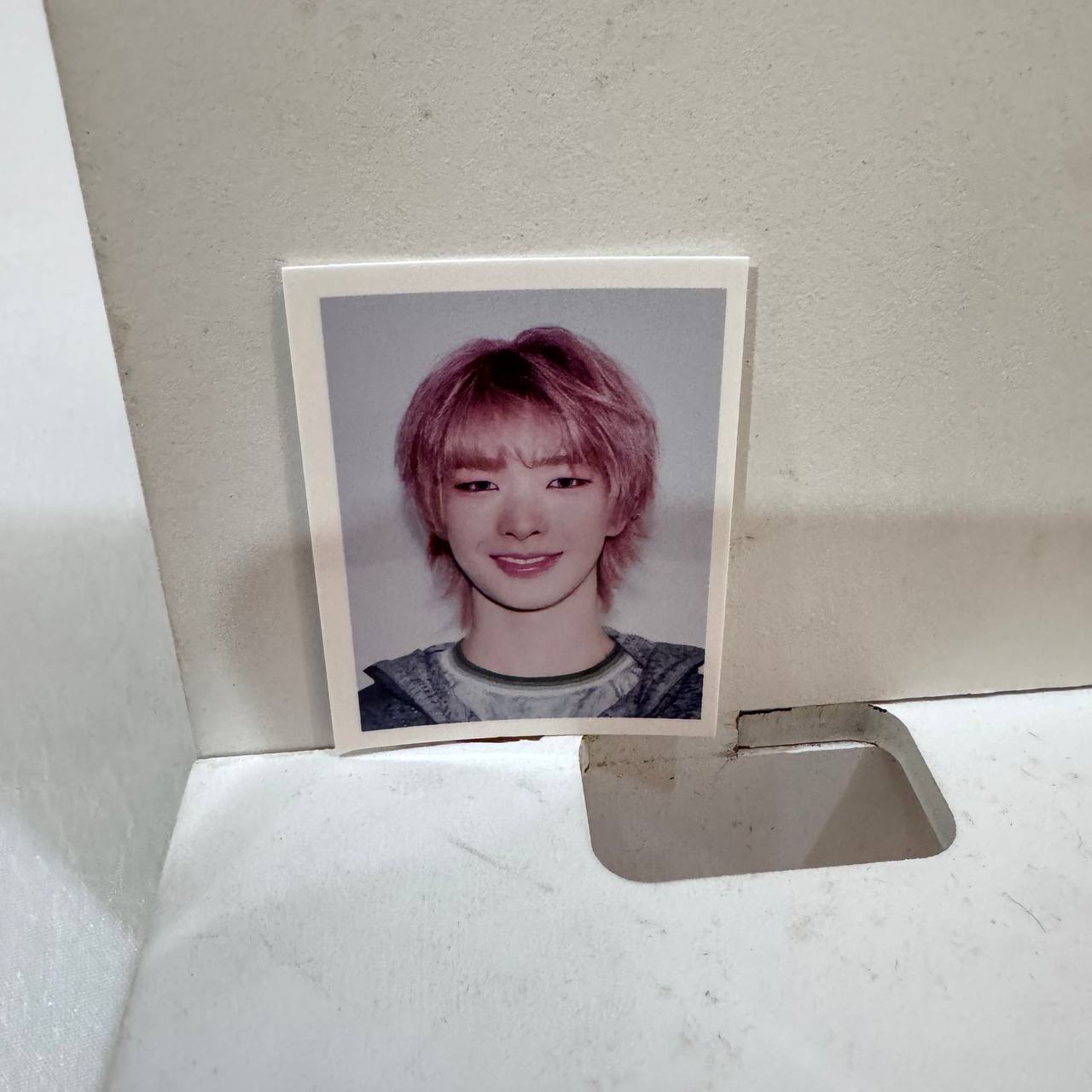 NEXZ FOX2Y ID HOLDER - [O-RLY?] POP-UP STORE - ID PHOTOS