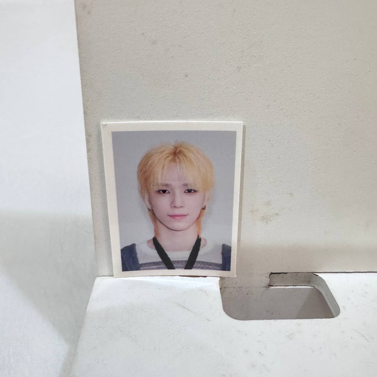 NEXZ FOX2Y ID HOLDER - [O-RLY?] POP-UP STORE - ID PHOTOS