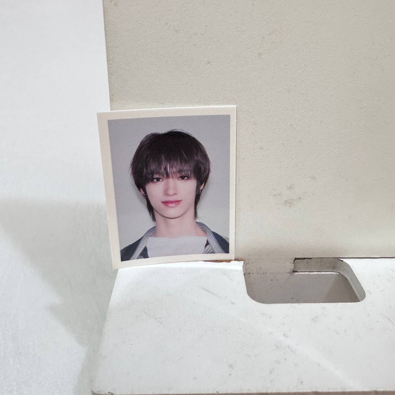 NEXZ FOX2Y ID HOLDER - [O-RLY?] POP-UP STORE - ID PHOTOS