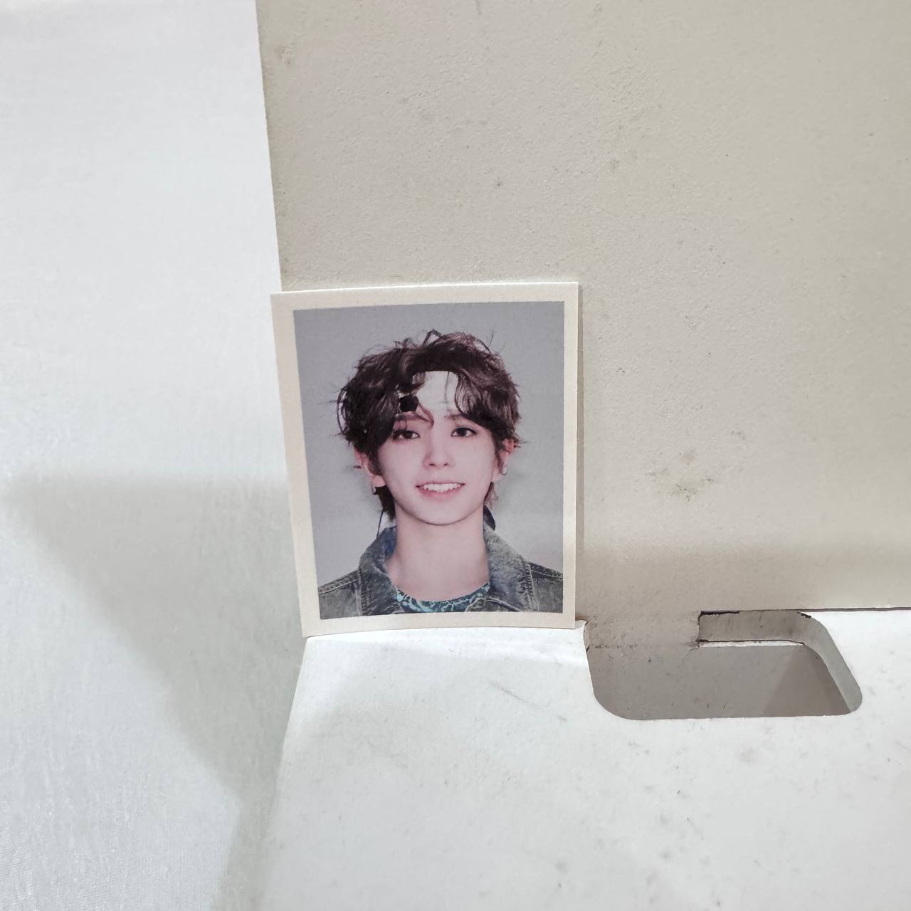 NEXZ FOX2Y ID HOLDER - [O-RLY?] POP-UP STORE - ID PHOTOS